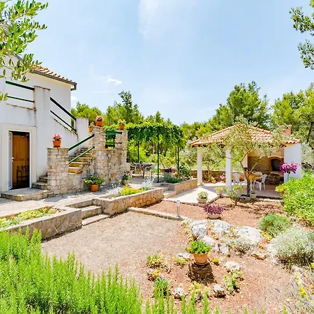 Rusula Milna (Brac)