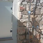 Rusula