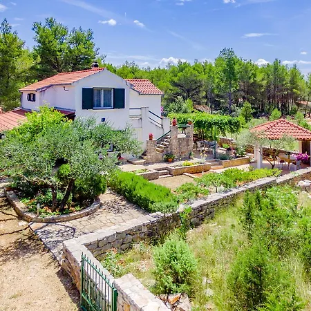 Rusula * Milna (Brac)